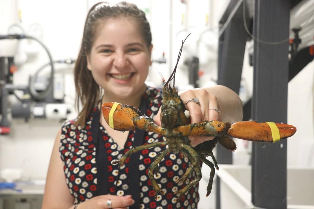 一个学生拿着一只爪带的龙虾